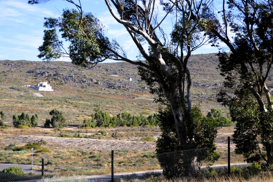 0 Bedroom Property for Sale in Britannica Heights Western Cape